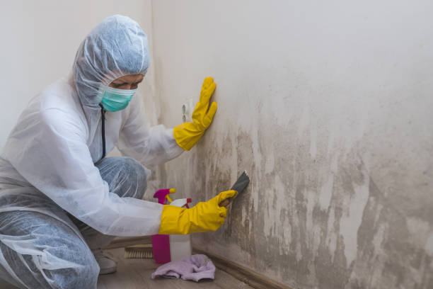 Best Water Damage Restoration  in Meadowlakes, TX