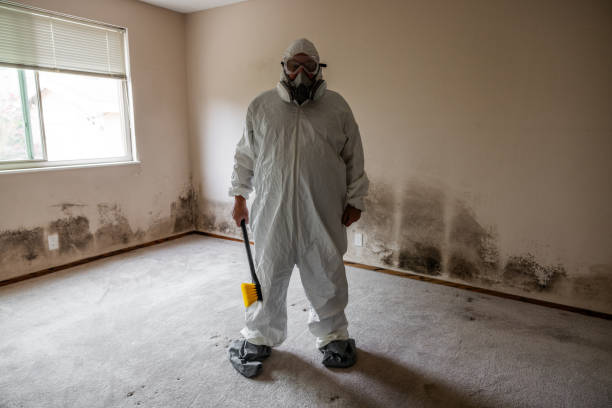Best Residential Mold Removal  in Meadowlakes, TX